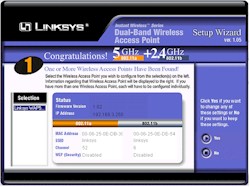 Linksys WAP51AB: Setup Wizard